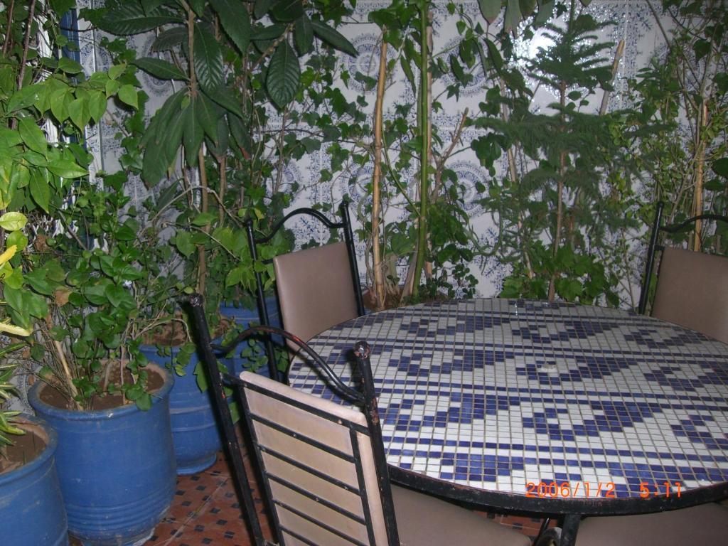 Hostel Beautiful Dreams 马拉喀什 外观 照片
